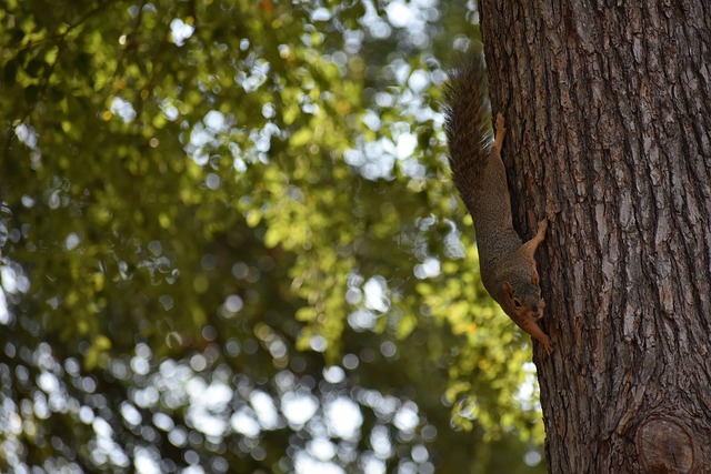 自己的路 自己的路