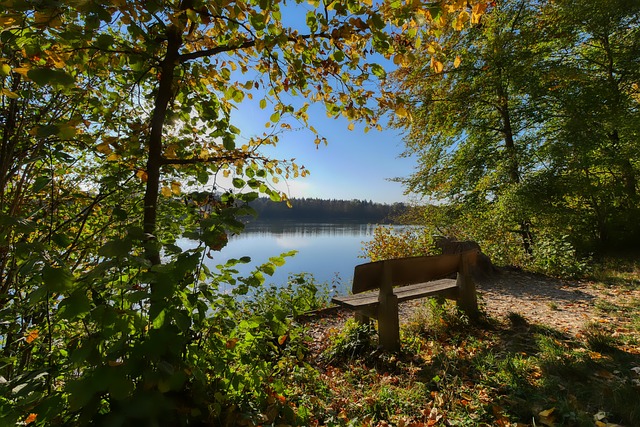 在激烈的竞 在激烈的竞
